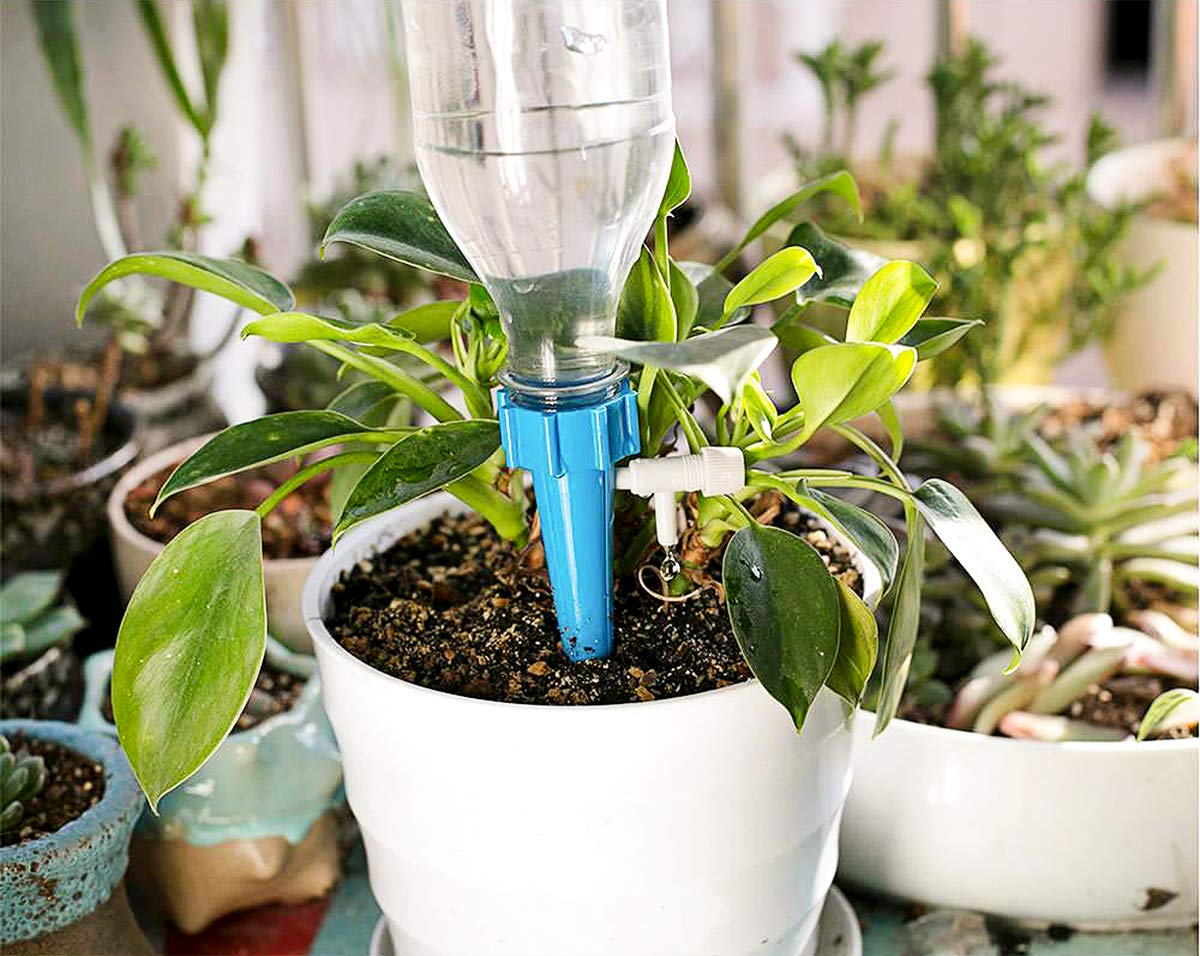 Pack of 12 Drip Irrigation kit for Home Garden, Self-Watering Spikes, Drip Spikes for Plants, Home Garden, Automatic Plant Watering Devices